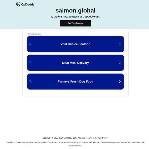  salmon.global screen
