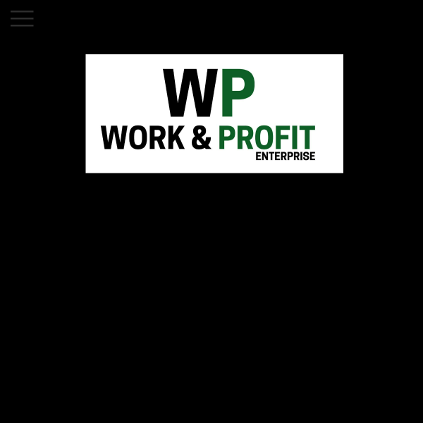 work-profit.com screen