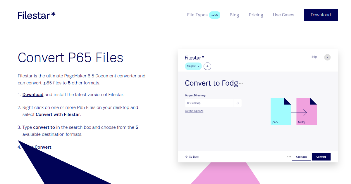 Filestar* Universal P65 Converter
