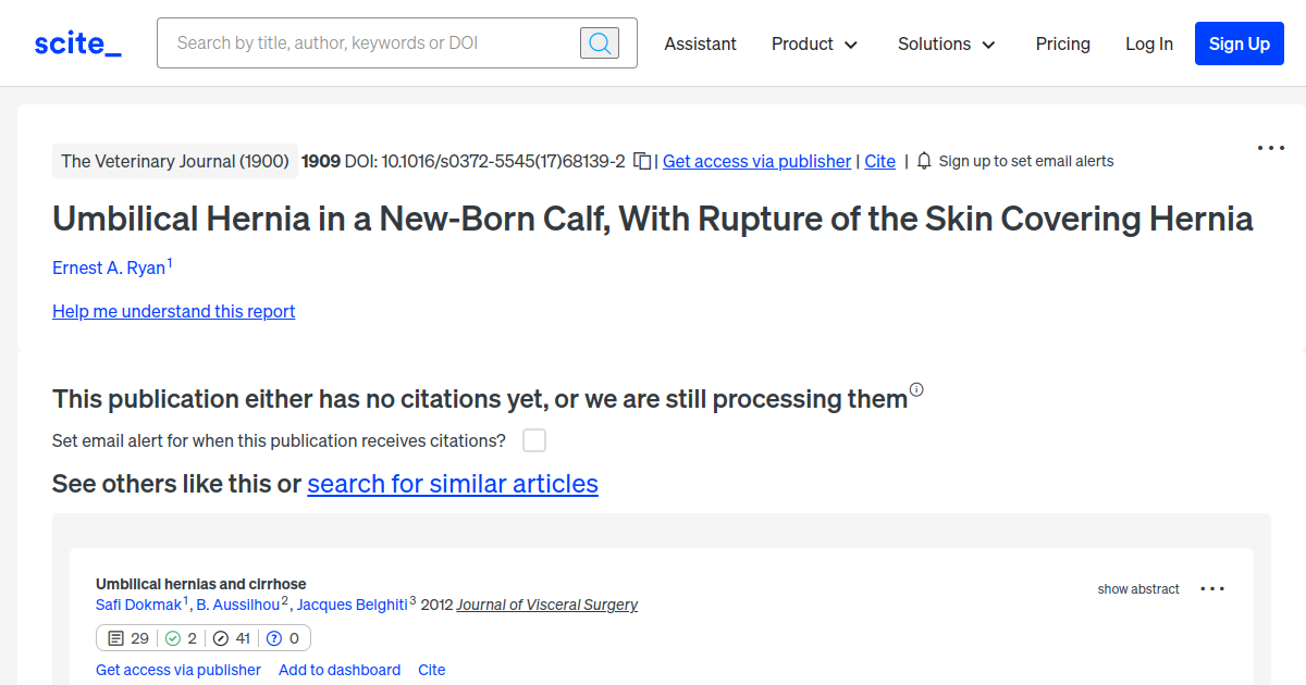 Umbilical Hernia in a NewBorn Calf, With Rupture of the Skin Covering