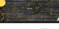 Bigo Live Connector