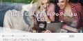 You Can Download Full Version Movies