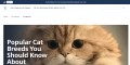 Getting The best Software program To Power Up Your Breeds Of Cats