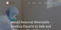 Mould Removal Newcastle Experts