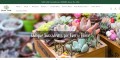 Shop Indoor Plants and Gardening Essentials Online From Plant Orbit