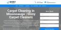 Carpet Cleaning Company in Mississauga