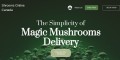 Magic mushroom spores canada