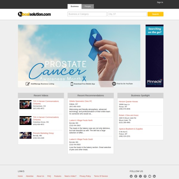 Local Solution homepage screenshot