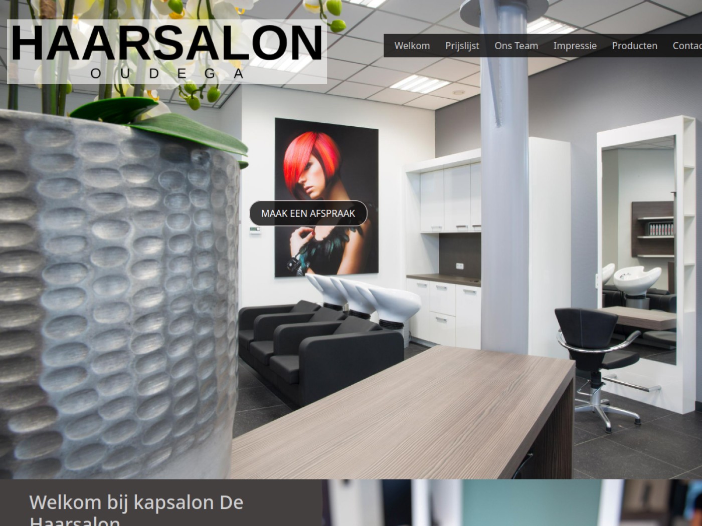 Screenshot website De Haarsalon Oudega