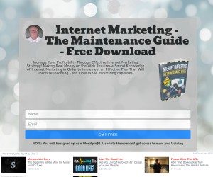 Internet Marketing - The Maintenance Guide - Free Download
