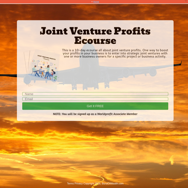 Joint venture profit