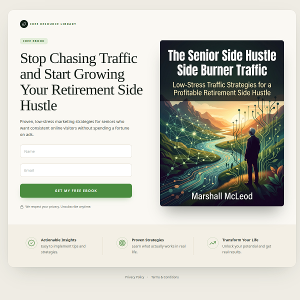 Free eBook 📘 Just released: The Senior Side Hustle Side Burner Traffic