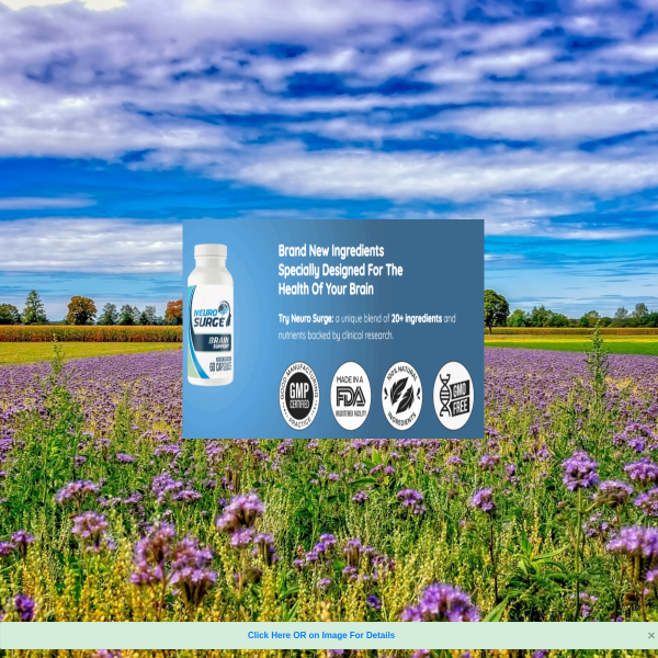 Enhancing Brain Health for Lasting Cognitive Vitality.