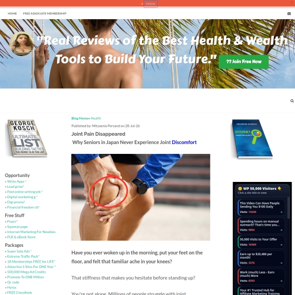 Joint pain relief solution
