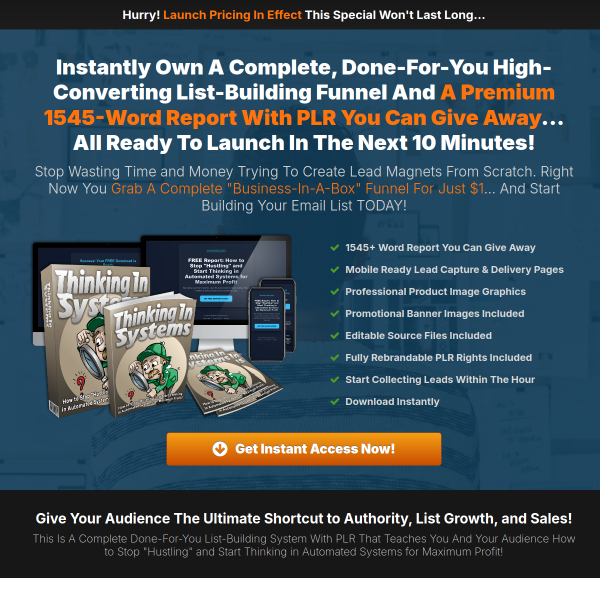 PLR Thinking In Systems: Build Profit With Automation
