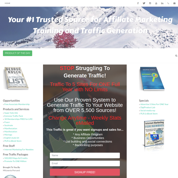 50.000 Guaranteed visitors to your sites