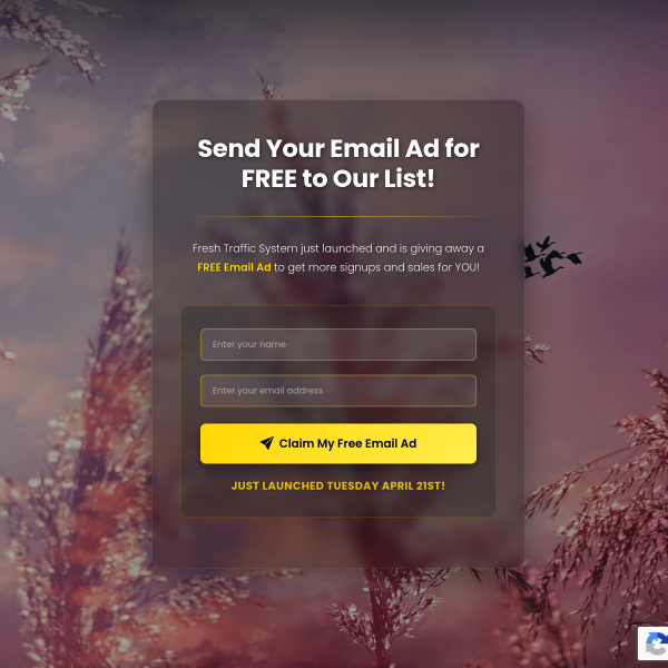 Hot Launch Offer: Grab Your 1,000 Free Credits Now