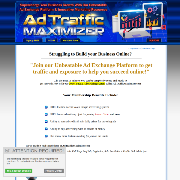 Struggling to Build your Business Online?