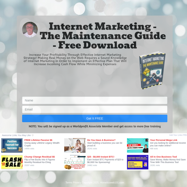 Internet Marketing - The Maintenance Guide - Free Download