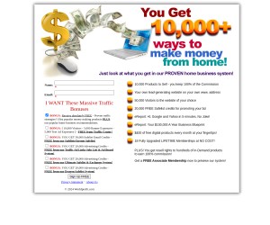 Earn Money From Home: 10,000 Amazing Ways!