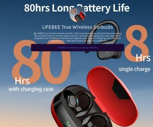 LIFEBEE True Wireless Earbuds with Mic