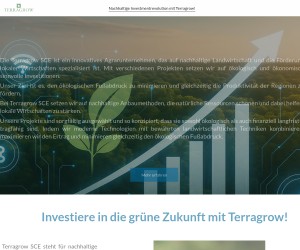 Deine Chance auf ein nachhaltiges Einkommen