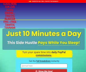Set-and-Forget Traffic Engine for Affiliates