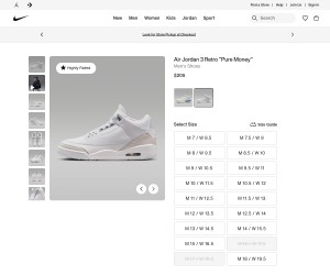 Air Jordan 3 Retro 