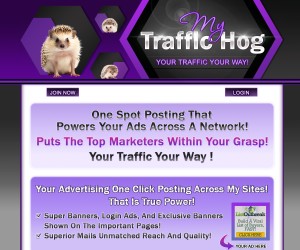 Drive Targeted Traffic without breaking the Bank