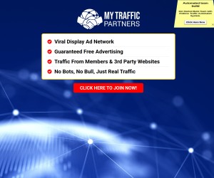 Build your own Business with traffic partners