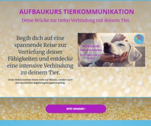 AUFBAUKURS TIERKOMMUNIKATION Deine Brücke zur tiefen Verbindung mit deinem Tier.