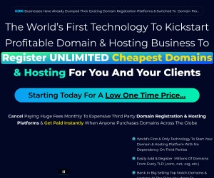 Domain Pro: Best Converting Offer of Today