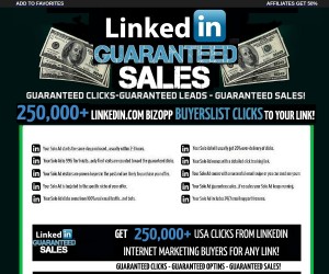 B2B Leads from LinkedIn—Done For You