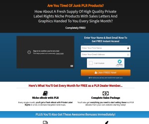 Make money with Plr