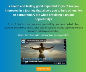 The GPN Residual Income Success Plan
