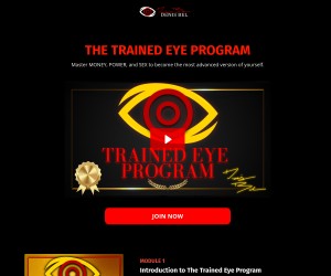 THE TRAINED EYE PROGRAM