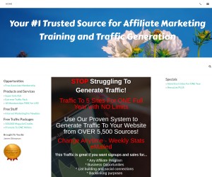 Huge Traffic Credit Giveaway - 500,000 Credits for Driving Traffic to Any Website