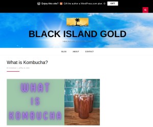 Kombucha Obsession: Why Everyone is Going Crazy for this Probiotic Beverage