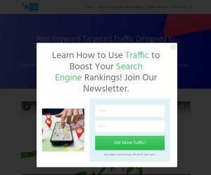 We Give You Real Visitors To Your Website Now!