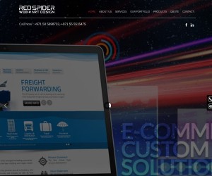 Best Web Design and Development Services in Dubai