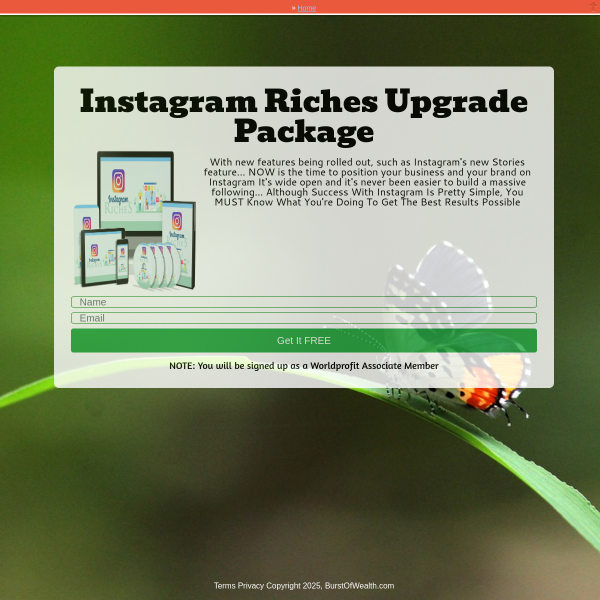 Insta riches