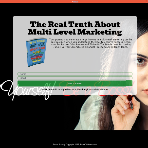 Multi level Marketing