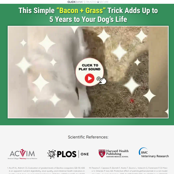 Feeding Your Dog This Could Add Up to 5 Extra Years to Their Life