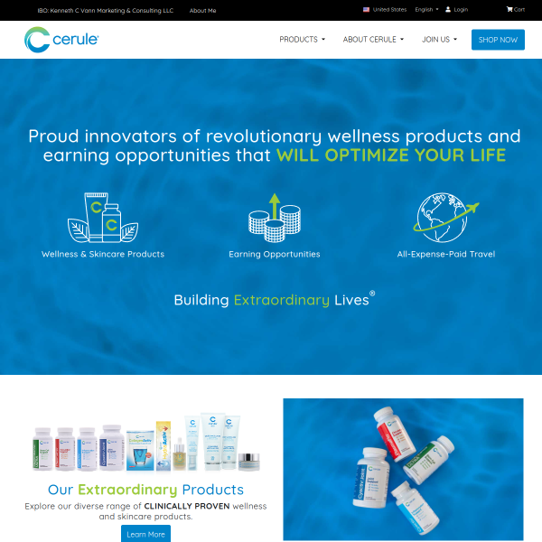 Cerule Business Overview