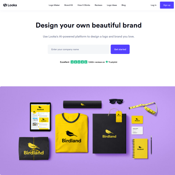 Create Your Logo, a Website & Brand Identity You Will Love with the Power of AI