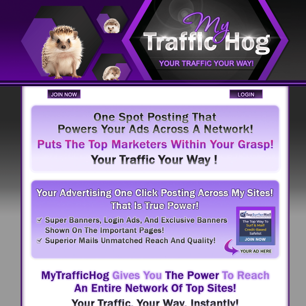 Turn On a TRAFFIC HOG for Your Business 🐗💥