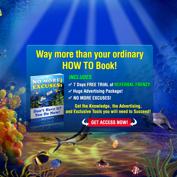 Way more than your ordinary HOW TO Book!