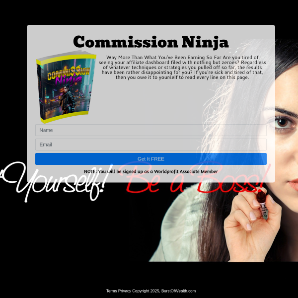 Ninja comission$$$$