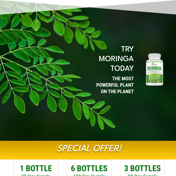 Moringa Magic | Supplements