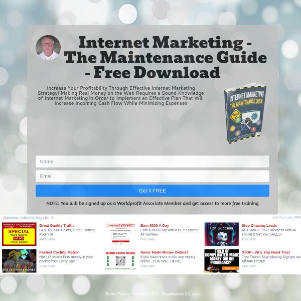 Internet Marketing - The Maintenance Guide - Free Download